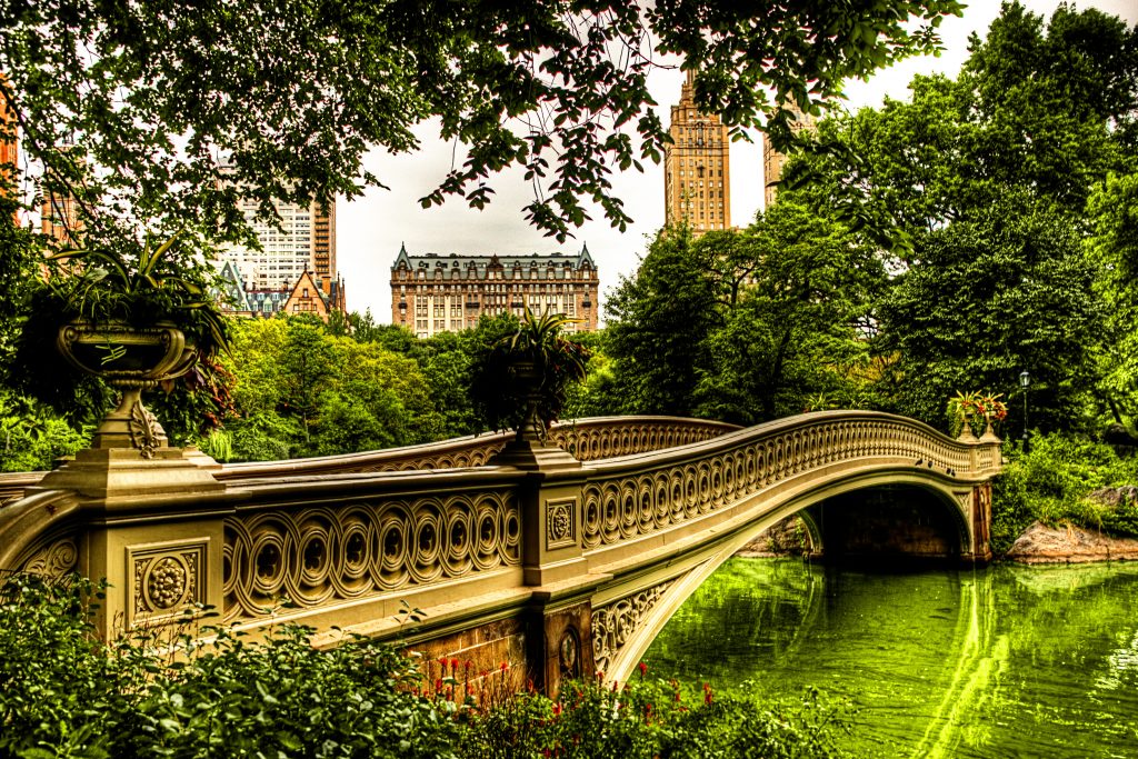 This image has an empty alt attribute; its file name is 08-11-18-Central-Park-1024x683.jpg