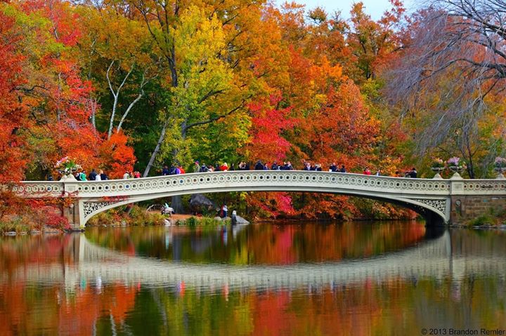 This image has an empty alt attribute; its file name is 09-21-18-Central-Park.jpg