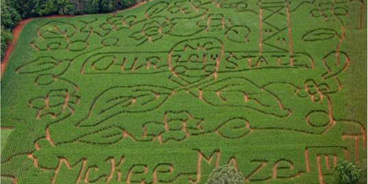 This image has an empty alt attribute; its file name is 09-21-18-Maze-at-Cedar-Creek-Farm-in-NC.jpg