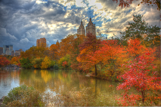 This image has an empty alt attribute; its file name is 10-08-17Central-Park-12.jpg