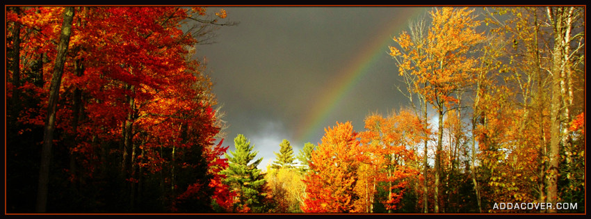 This image has an empty alt attribute; its file name is 2929-autumn-rainbow.jpg