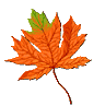 This image has an empty alt attribute; its file name is Leaves456.gif